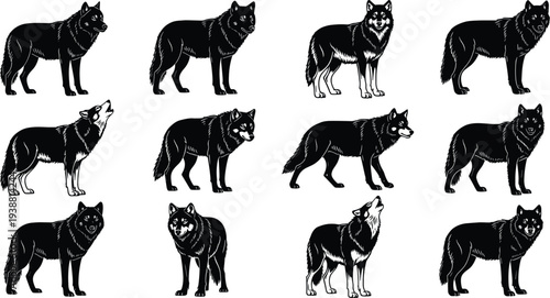 Black and white wolf illustrations in diverse poses and stances, showcasing wildlife behavior, perfect for graphic design, branding, educational materials, and modern artistic collections.