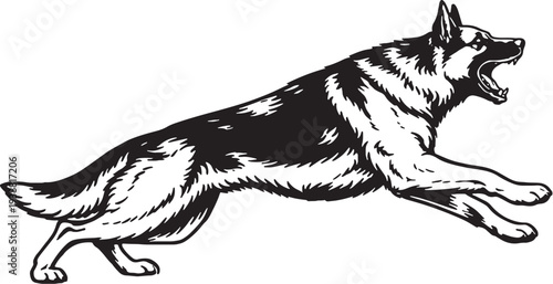 Obraz na płótnie German Shepherd Attack Training Forward Lunge Pose Black and White Line Art Work