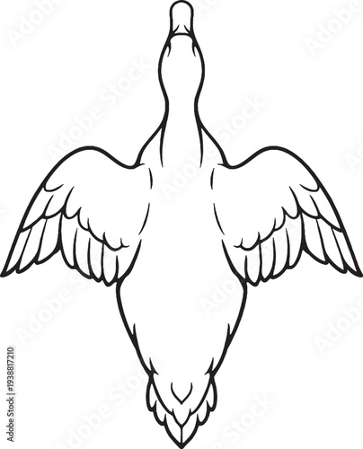 Duck Top View Body Outline Black and White Line Art Farm Animal Vector