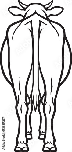 Cow Standing Rear View Symmetrical Pose Black and White Line Art Illustration