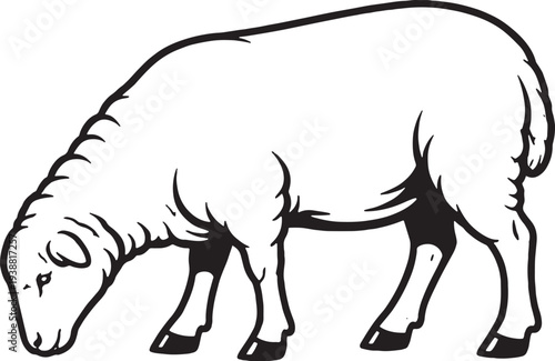 Hand Drawn Sheep Sketch Illustration, Farm Animal Line Art, Minimalist Black and White Livestock Drawing