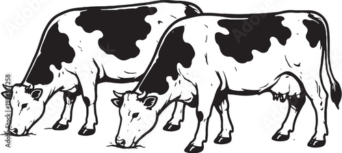 Cow Grazing Group Two Side Black And White Line Art Illustration