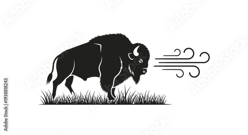 Bison blowing in the wind outdoors.