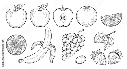 Hand Drawn Sketch of Various Fresh Fruits Collection.
