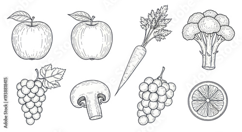Hand drawn sketch of various fruits and vegetables healthy food.