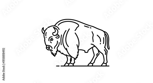 Bison standing in profile view.