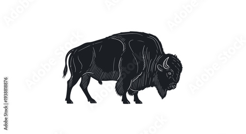 Black bison standing profile view.