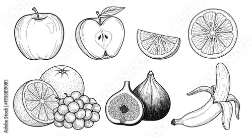 Hand-drawn sketch of various fresh fruits including apples, oranges, grapes, figs, and bananas.