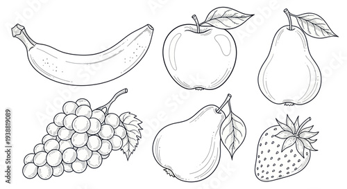 Hand-drawn sketch of various fresh fruits, including banana, apple, pear, grapes, and strawberry.