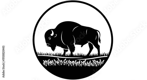 Bison standing in a field profile.