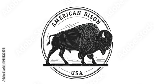 American Bison Walking Profile Side View.