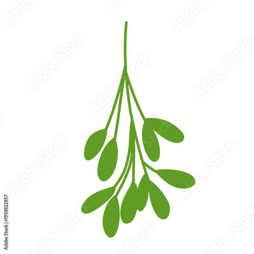 Christmas mistletoe vector
