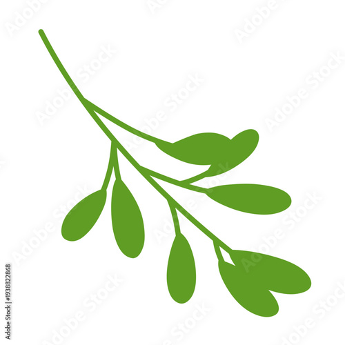 Christmas mistletoe vector