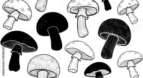 Collection of Black and White Mushrooms in Various Styles.
