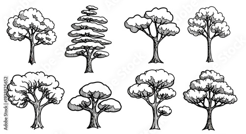 Collection of Hand Drawn Sketchy Trees in Various Shapes and Sizes.