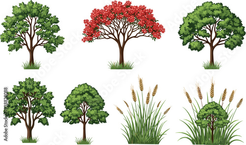 Collection of detailed green and red leafy trees, bushes and grass plants isolated on white background, nature vegetation set illustration for landscape design