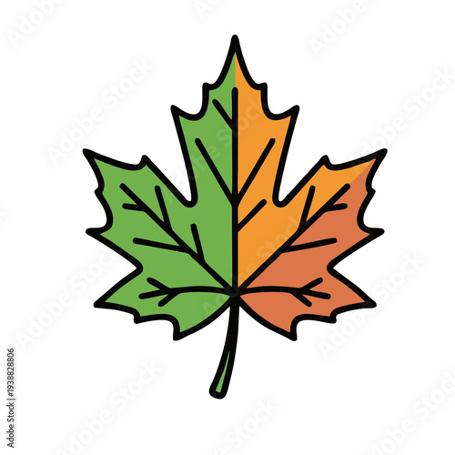 Two tone autumn maple leaf green and orange vector