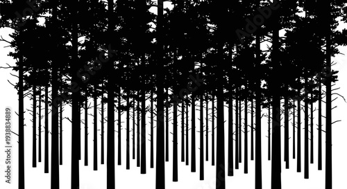 Dense woodland forest trunks forming a natural background