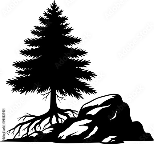 Lone pine tree growing on a rocky outcrop with exposed roots