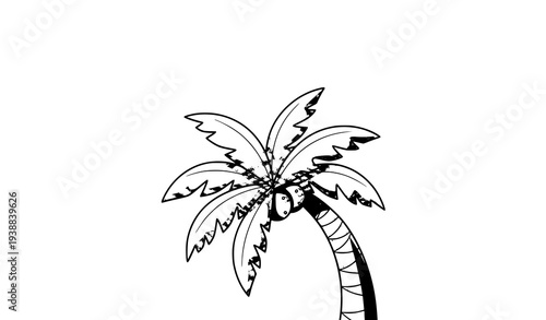Cartoon coconut palm tree tropical summer vector art