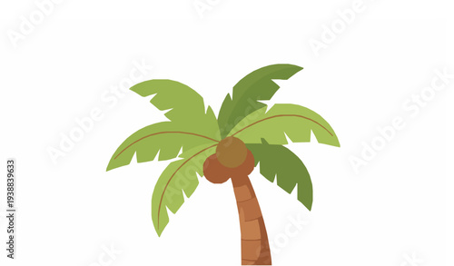 Cute tropical palm tree with coconuts summer vector illustration