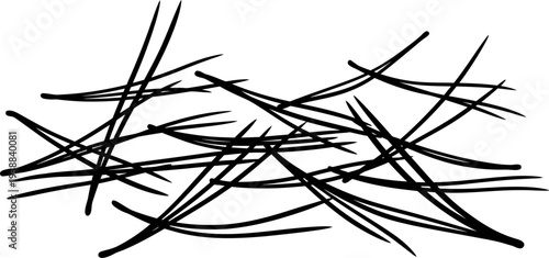 Scattered pine needles pattern for natural texture background