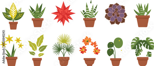 Flat Vector Set of Various Potted Houseplants and Succulents Featuring Monstera Pilea Aloe and Flowering Indoor Plants for Home Decor