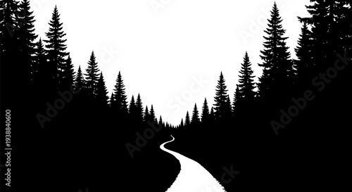 Sinuous road passing through dark woods