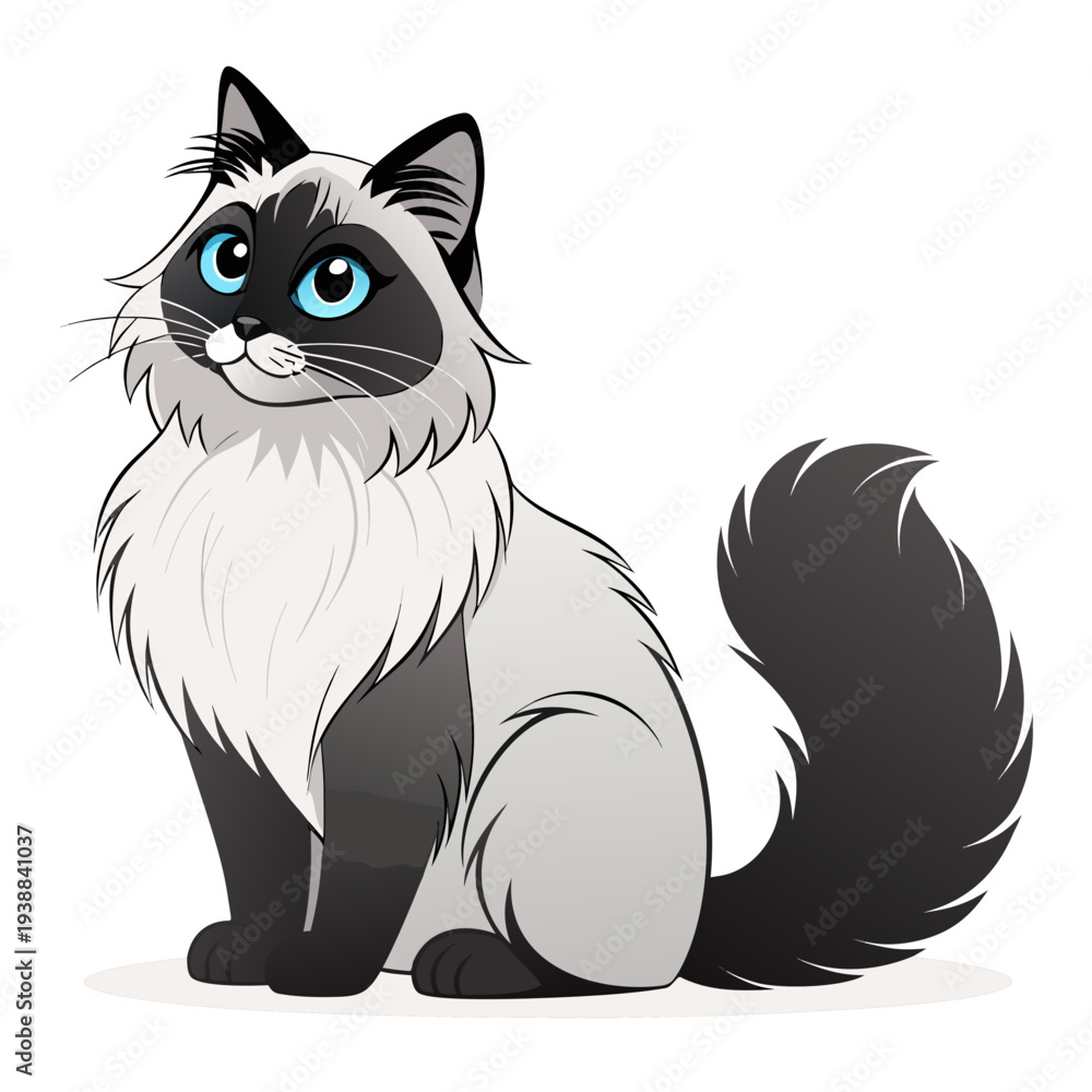 Obraz premium Elegant Ragdoll Cat Silhouette Vector with Fluffy Fur and Large Eyes
