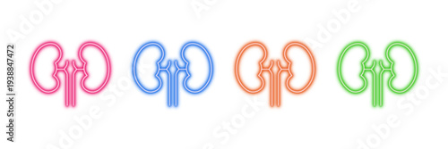 Neon glowing kidneys vector icons set, human, organ, medical, health, anatomy, urology, nephrology, system, biology, colorful digital design illustration on transparent background.
