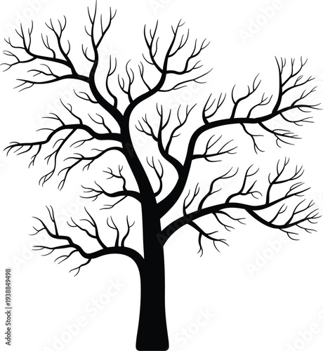 Professional Black Silhouette Vector Set Of Large Bare Trees Featuring Detailed Spreading Branches And Twigs