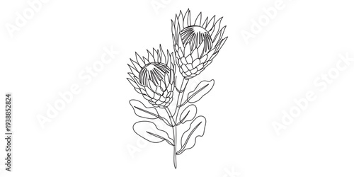 Man Exercising on Door Frame Gym Equipment at Home