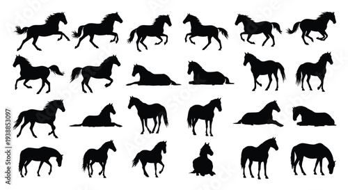 Collection of black horse silhouettes showcasing various dynamic gaits and resting positions ideal for equestrian design projects and animal graphics