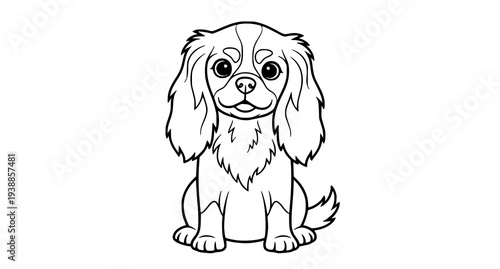 A cute illustration of a sitting Cavalier King Charles Spaniel dog