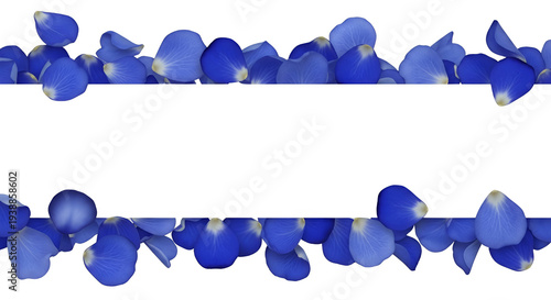 Blue Rose Petals Border Tra...
