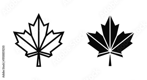 Two black maple leaf icons on a white background, one outlined and one filled in.