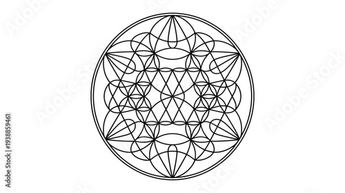 Intricate black line art of a flower of life geometric pattern on a white background