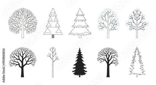 Vector Set of Minimalist Winter Tree Icons and Silhouettes Featuring Pine Trees, Conifers, and Leafless Deciduous Trees Isolated on a Clean White Background.