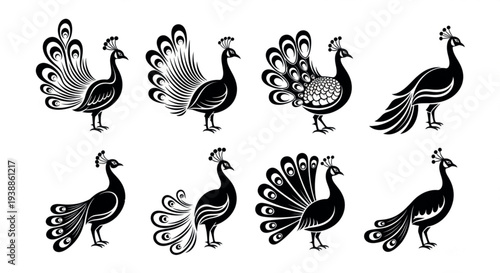Peacock silhouette vector set elegant decorative birds with ornamental tail feathers black design collection for logo pattern illustration