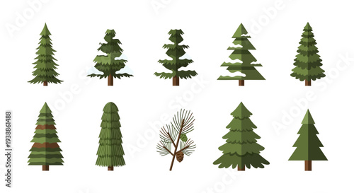 Vector Set of Flat Pine Tree Icons and Spruce Evergreen Illustrations for Winter Nature Design, Including Snowy Fir Trees and Pine Cone Branch on White.