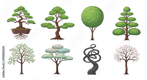 Set of Various Tree Vector Illustrations Including Japanese Bonsai Pine Topiary and Flowering Cherry Blossom Isolated on White Background for Landscape Design Art