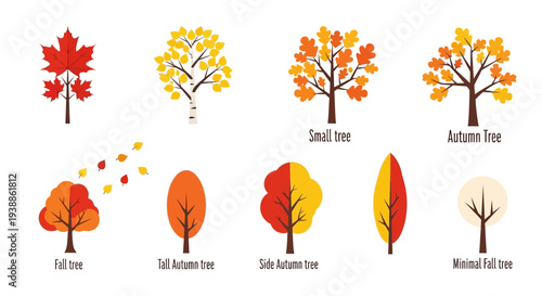 Set of vibrant autumn fall tree icons and vector illustrations featuring maple, birch, and minimalist designs in warm red, orange, and yellow seasonal colors.