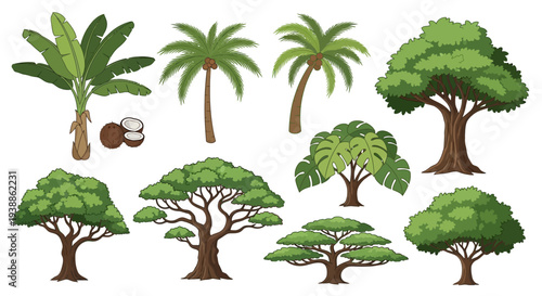 Collection of Tropical and Deciduous Tree Vector Illustrations Including Palm Trees, Banana Tree, Monstera Plant, and Oak Trees Isolated on a White Background.