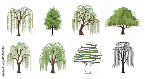 Set of diverse weeping willow tree illustrations and green deciduous trees isolated on white for landscape design vector graphics and natural flora elements.