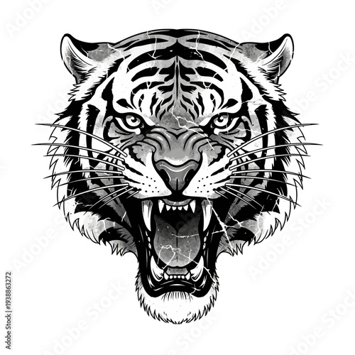 Angry Tiger Face Roaring Monochrome Illustration