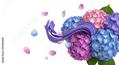 Pink Blue Hydrangea Flowers...