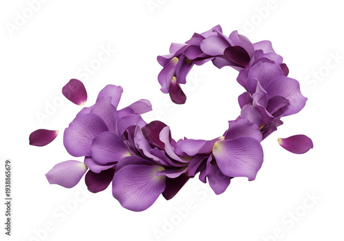 Purple Orchid Petal Swirl I...