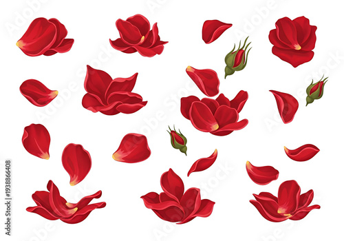 Wallpaper Mural Red Rose Petals Isolated on White Background Romantic Floral Elements Torontodigital.ca