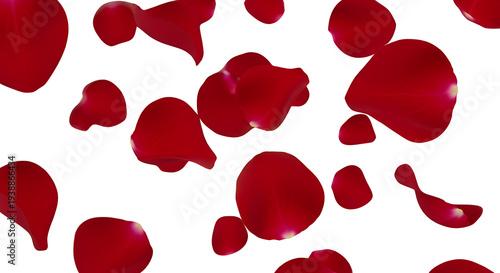 Wallpaper Mural Red Rose Petals Floating Isolated Transparent Background Realistic Photo Torontodigital.ca