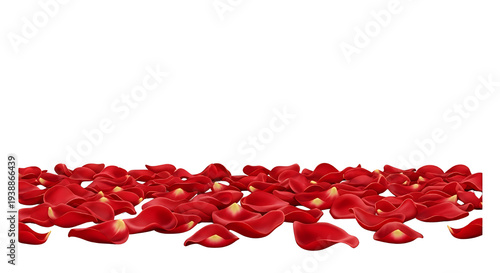 Wallpaper Mural Red Rose Petals Scattered Isolated Transparent Background Romantic Realistic Photo Torontodigital.ca